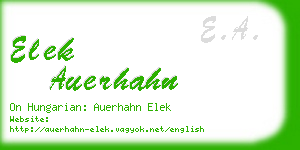 elek auerhahn business card